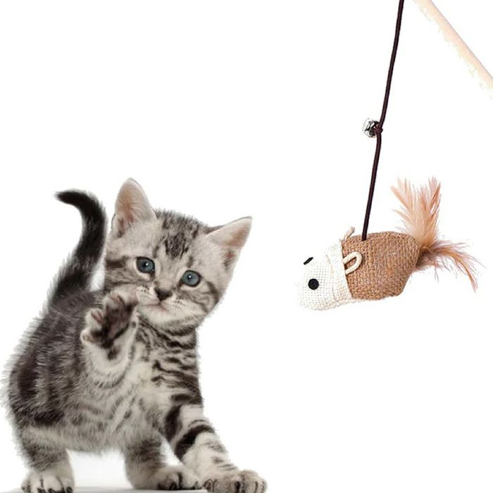 Cat Products