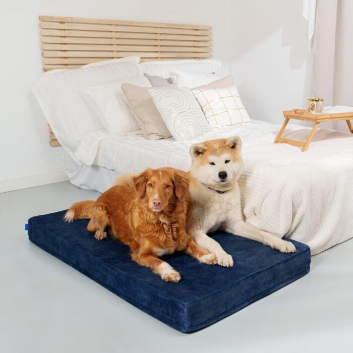 Dog bed