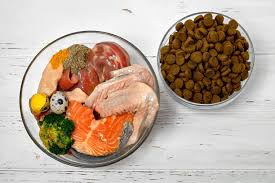 Healthy dog food in a bowl