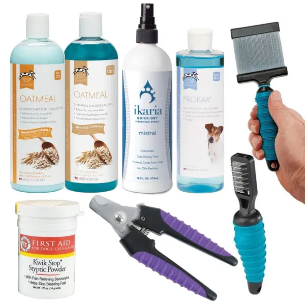 Pet grooming tools on a table
